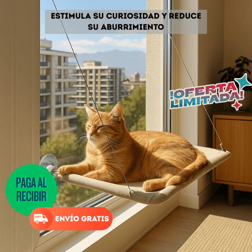 CatLuxe™ -  Convierte a tu gato en el vigilante de la casa y el barrio