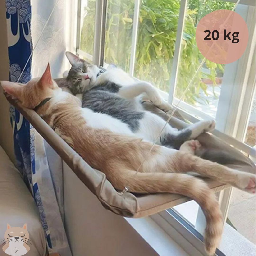 CatLuxe™ -  Convierte a tu gato en el vigilante de la casa y el barrio